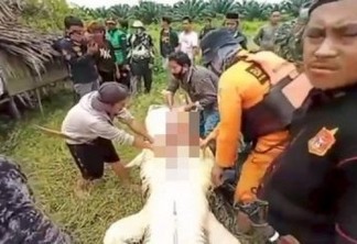 Cadáver de menino é retirado da barriga de crocodilo de 8 metros - VEJA VÍDEO