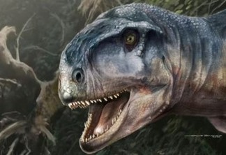 Crânio de dinossauro 'amedrontador' é encontrado na Patagônia
