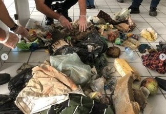 Investigação: Sudema afirma que lixo que apareceu no Litoral da Paraíba é de origem urbana