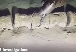 Esqueleto gigante encontrado nas profundezas do oceano intriga pesquisadores; VEJA VÍDEO