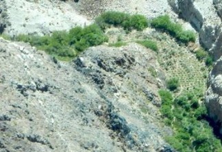 Grande número de pés de maconha é achado em cânion no Vale da Morte