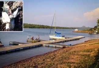 Vídeo mostra 40 toneladas de peixes mortos em lago no Cuiabá; assista