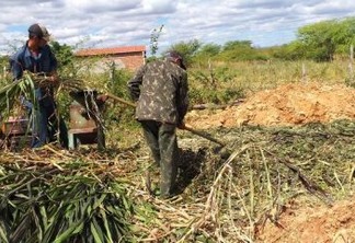 Prefeitura de Patos auxilia na produção de silagem na comunidade do Mocambo