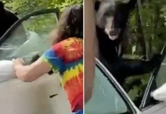 Homem abre porta para urso que ficou preso dentro de carro
