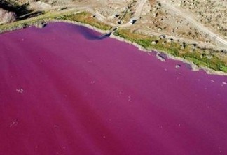 Poluição deixa lagoa rosa brilhante na Patagônia