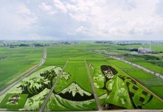 Cidade japonesa transforma arrozais em obras de arte para homenagear Jogos Olímpicos