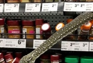Mulher encontra cobra de três metros em prateleira de supermercado - VEJA VÍDEO