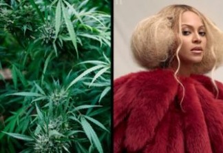 Beyoncé diz que cultiva maconha em fazenda e usa para combater estresse