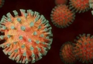 Variante Gama é mais agressiva do que cepa original do vírus da Covid-19, mas é contida com vacina e lockdown, diz estudo