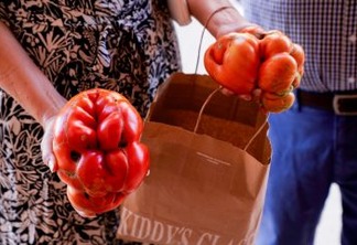Agricultores competem pelo título de 'tomate mais feio' na Espanha