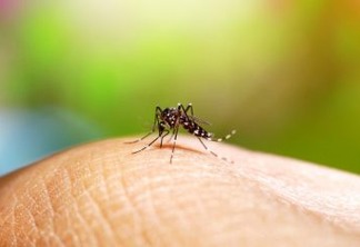 Saúde alerta sobre riscos da proliferação do Aedes aegypti na PB