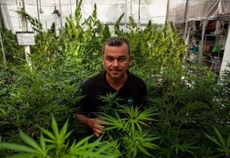 Cassiano Teixeira, o homem que comanda a maior produção de Cannabis medicinal do Brasil