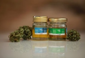 Anvisa aprova mais dois remédios à base de cannabis