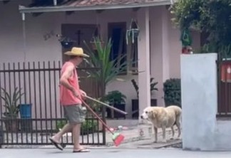 Cachorro segura balde para ajudar dono com faxina - VEJA VÍDEO 
