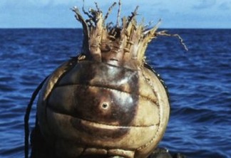 Wilson, a bola do filme 'Náufrago', é leiloada por R$ 1,6 milhão