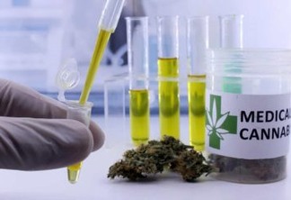 Anvisa libera o décimo produto medicinal à base de cannabis
