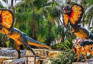 Dilophosaurus; foto reprodução internet 