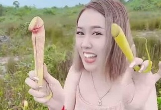País asiático pede que turistas parem de arrancar a famosa 'planta-pênis' para tirar fotos