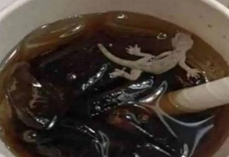 Lanchonete é multada após cliente achar lagartixa em copo de refrigerante