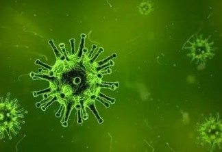 Vírus de alta letalidade ressurgido no Brasil após 20 anos é investigado pela USP