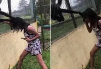 Criança é atacada e tem cabelo agarrado por macaco após provocar animal pela grade de proteção