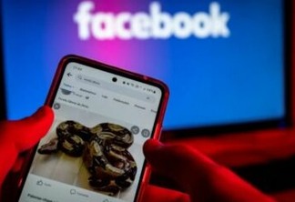 Facebook é multado em R$ 10 mi após ignorar tráfico ilegal de animais na rede
