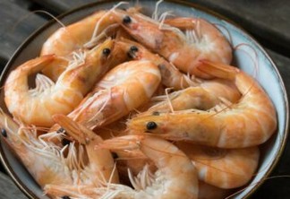 Preços de pescados registram diferença de R$ 80 no filé de camarão em João Pessoa