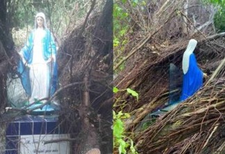 MILAGRE? Ávore cai em cima de santuário e imagem de Nossa Senhora fica intacta, em João Pessoa; VEJA VÍDEO