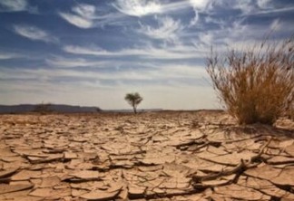 PREOCUPAÇÃO PARA O NORDESTE: "Teremos uma seca no ano que vem", prevê presidente da Funceme - ENTENDA