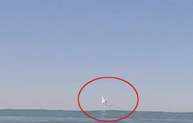 Surfista flagra momento que tubarão salta para fora da água; VÍDEO