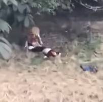 VEJA VÍDEO: tigre mata homem em zoológico chinês