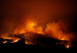 Ministério Público abre investigação sobre causas de incêndio em Portugal