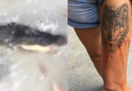 Turista flagra momento em que é atacada por crocodilo em praia da Austrália -VEJA VÍDEO