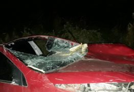 Colisão entre carro e cavalo deixa morto e feridos na BR-412 em Sumé, PB