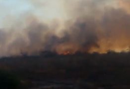 VEJA VÍDEO: moradores de Barra de São Miguel tentam apagar incêndio próximo a cidade