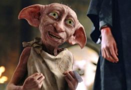 Dobby, de Harry Potter, é flagrado por câmera de segurança dando rolé – VEJA VÍDEO