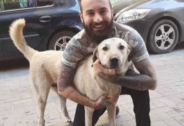 Câmera flagra homem em cena surpreendente com cachorro de rua e viraliza; VEJA VÍDEO