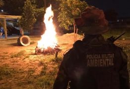 Polícia Militar recebe mais de 700 denúncias durante véspera de São João na Paraíba