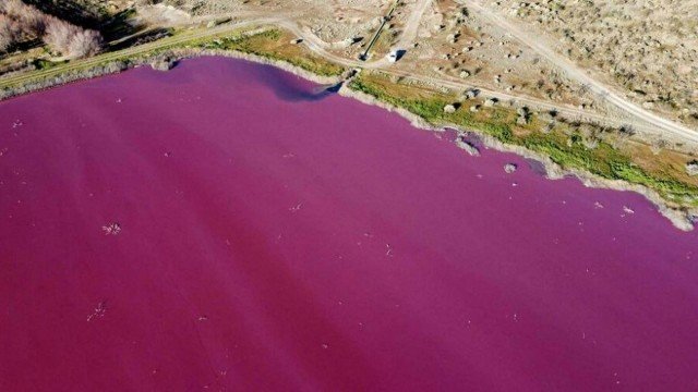 xblog corfo 1.jpg.pagespeed.ic .I4ZiYM jUC - Poluição deixa lagoa rosa brilhante na Patagônia