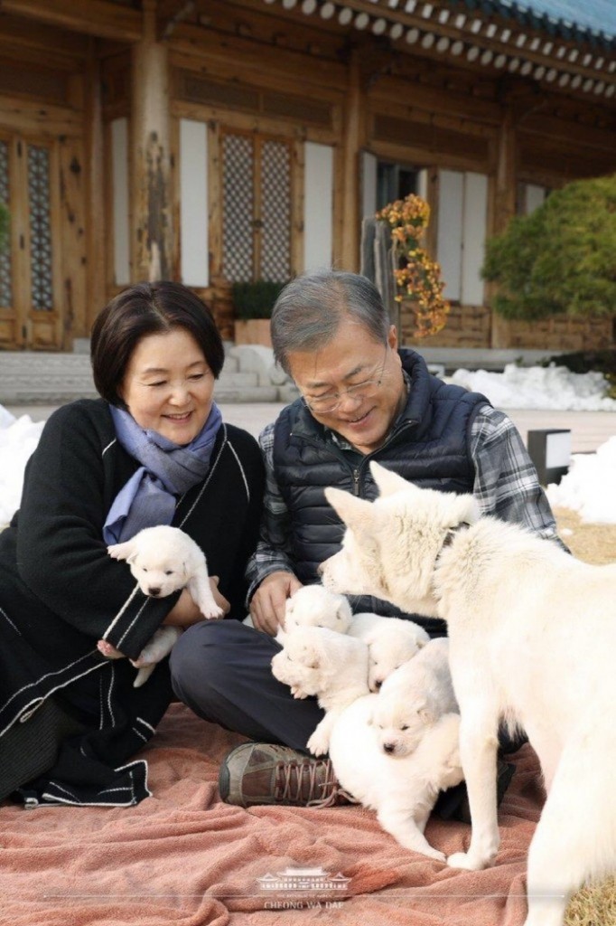 akr20181125036100001 02 i org 682x1024 1 - Coreia do Sul avalia proibir consumo de carne de cachorro e tradicionalistas se opõem
