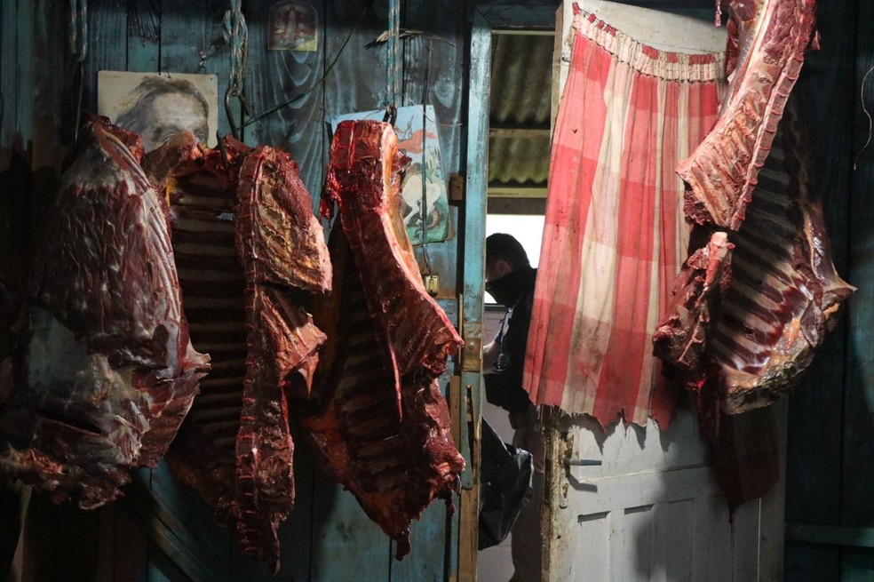 carnesmp - HAMBÚRGUERES E BIFES: Dez pessoas viram rés por abate e venda ilegal de carne de cavalo