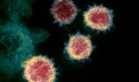 omicr - Ômicron: alto número de mutações pode fazer variante ter vantagem sobre as vacinas, diz OMS