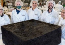 Médicos e confeiteiros criam o maior brownie de maconha do mundo