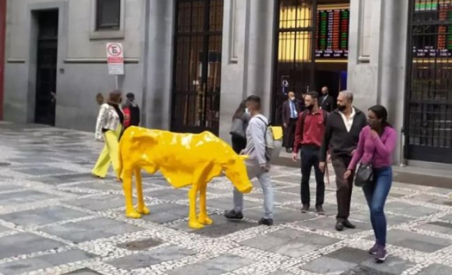 vaca magra - Artista cearense instala 'vaca magra' em frente à Bolsa de Valores em São Paulo