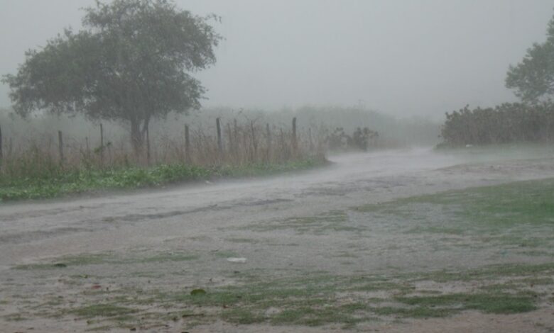 chuvassertao 780x470 1 - Inmet emite novos alertas de chuvas intensas para grande parte da Paraíba - CONFIRA OS MUNICIPIOS