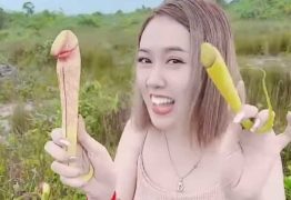 País asiático pede que turistas parem de arrancar a famosa ‘planta-pênis’ para tirar fotos