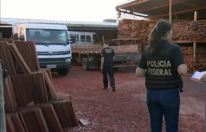 AnyConv.com  WhatsApp Image 2022 06 15 at 06.17.37 - POLÍCIA NAS RUAS: Operação comandada pela Polícia Federal combate o tráfico de madeiras na capital