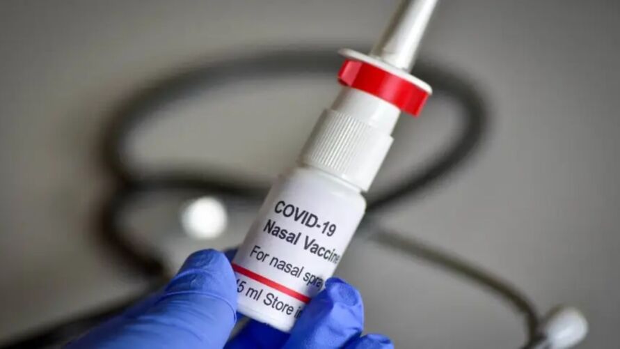 Vacina de Spray Nasal 00726034 0  - Estudo aponta que vacina de spray nasal pode diminuir transmissão do coronavírus e acabar com a pandemia