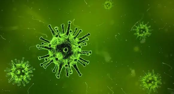 virus - Vírus de alta letalidade ressurgido no Brasil após 20 anos é investigado pela USP