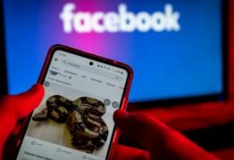 Facebook é multado em R$ 10 mi após ignorar tráfico ilegal de animais na rede